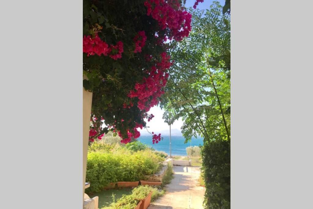 Studio On The Beach Λουτράκι Εξωτερικό φωτογραφία